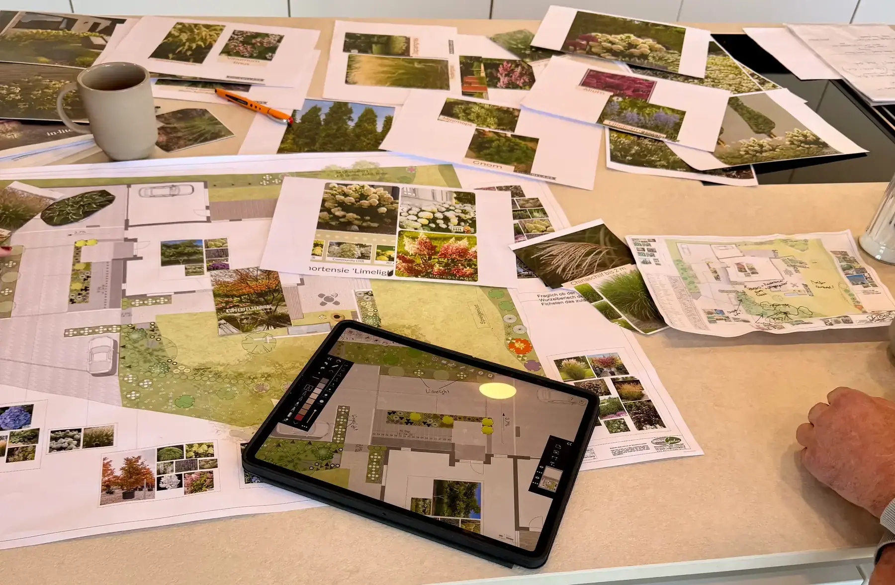 Pflanzplanung am Tisch: ausgedruckte Gartenpläne mit Bildern von Hortensien, Ziergräsern und Stauden, daneben ein Tablet mit dem Pflanzplan