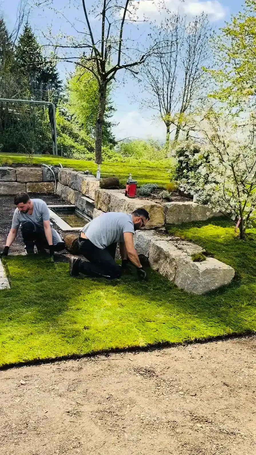 Zwei Mitarbeiter verlegen Rollrasen neben Natursteinstufen im Garten