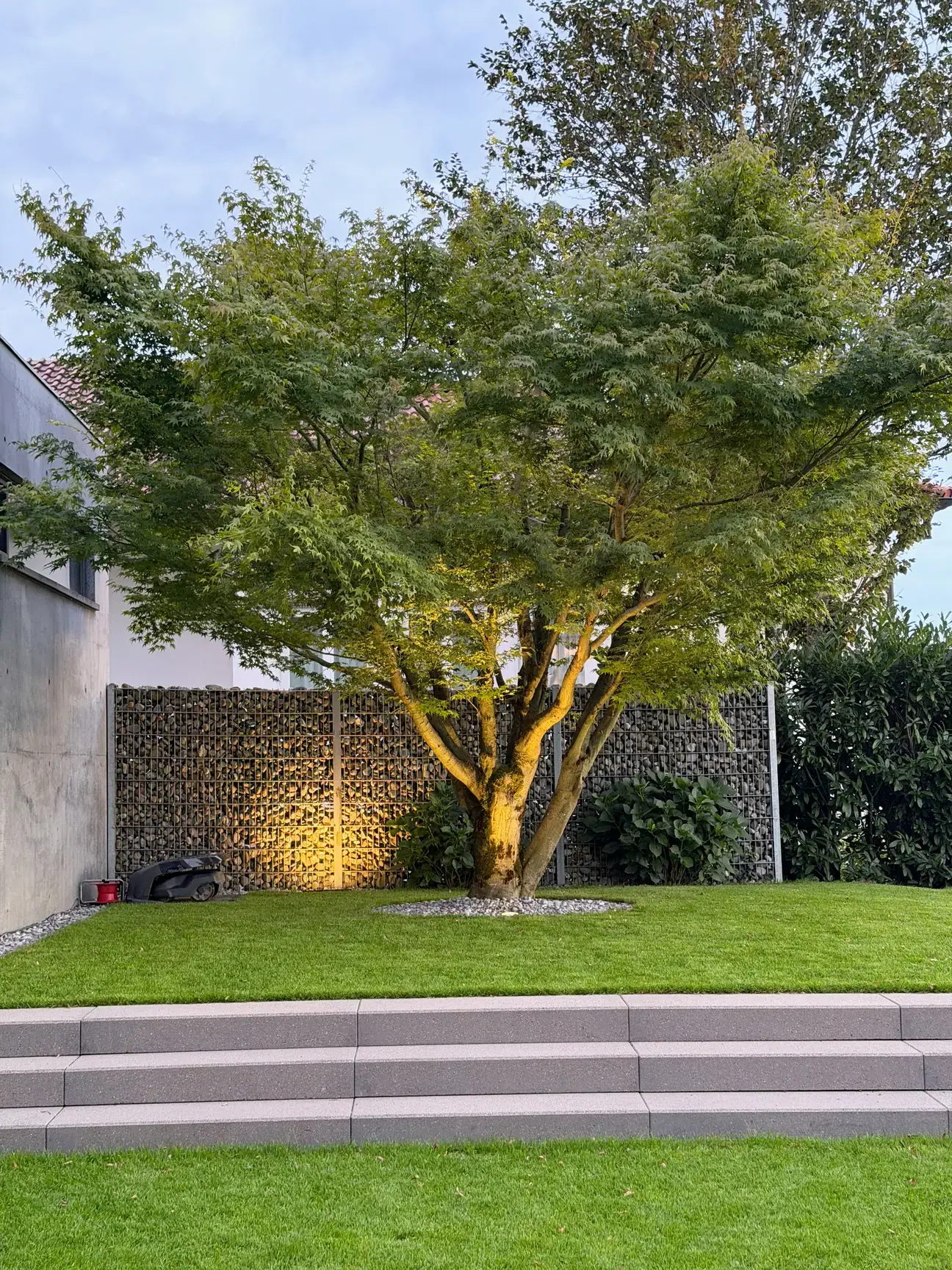 Beleuchteter Baum in einem Garten in der Dämmerung.