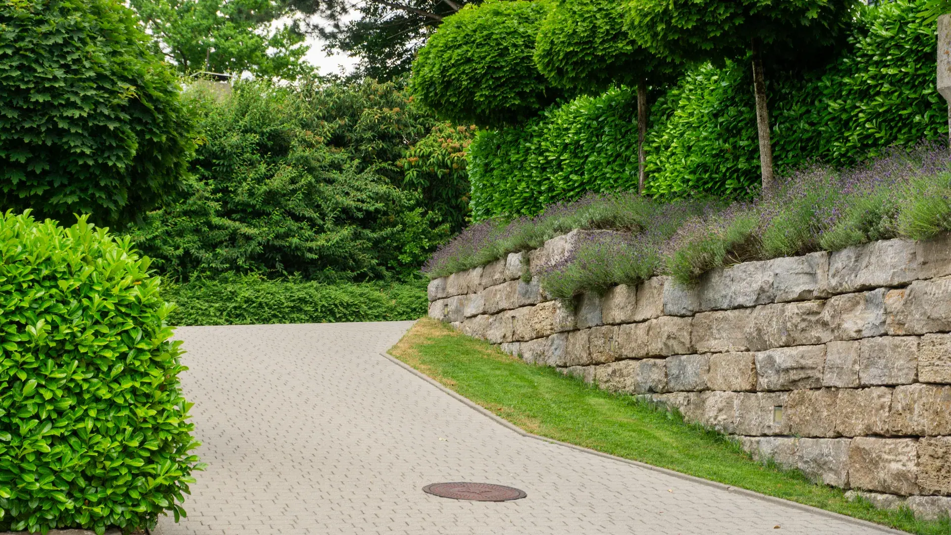 Gepflasterte Einfahrt zwischen Hecken und Natursteinmauer.