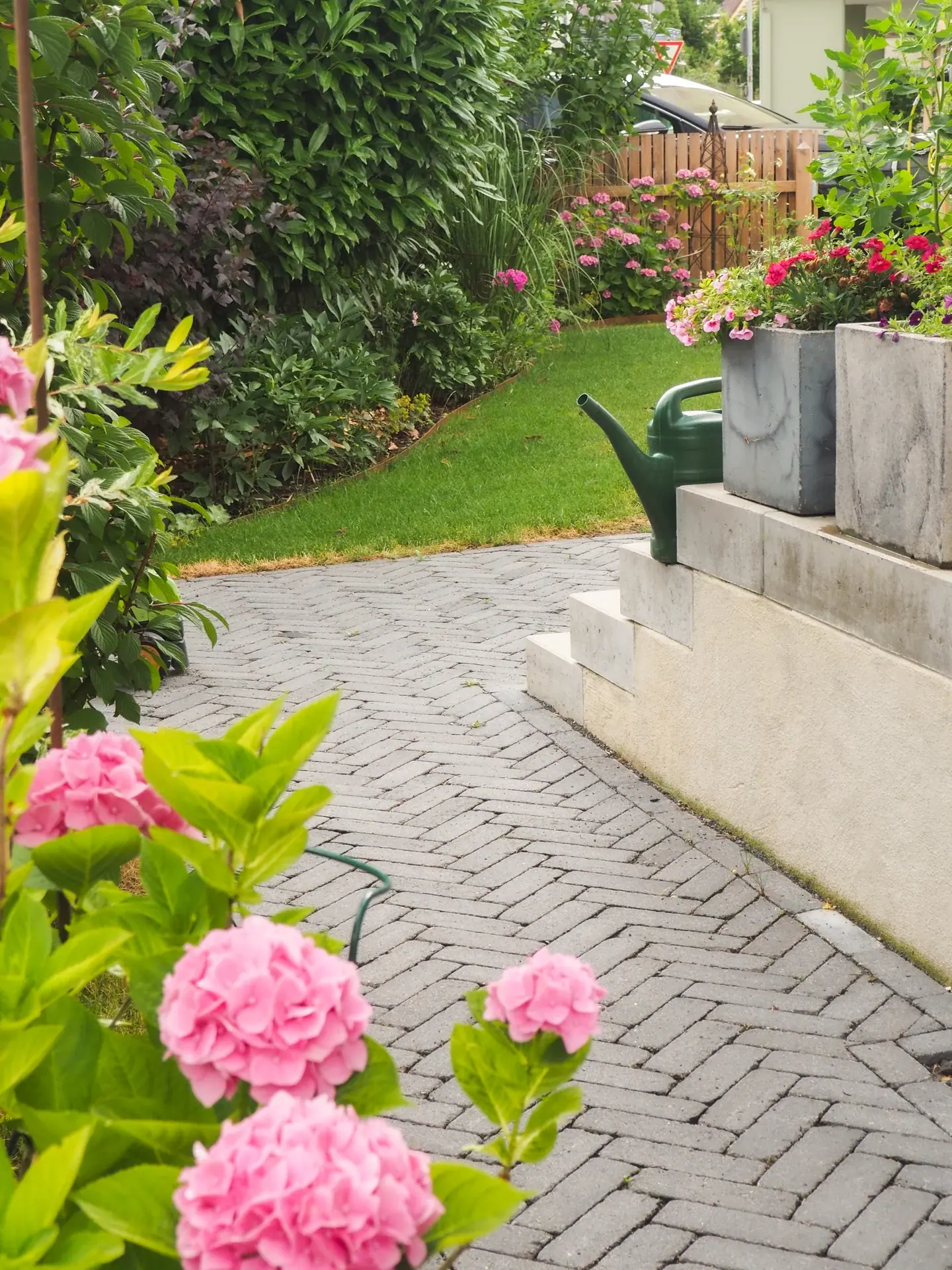 Gartenweg mit Hochbeeten und blühenden Hortensien.
