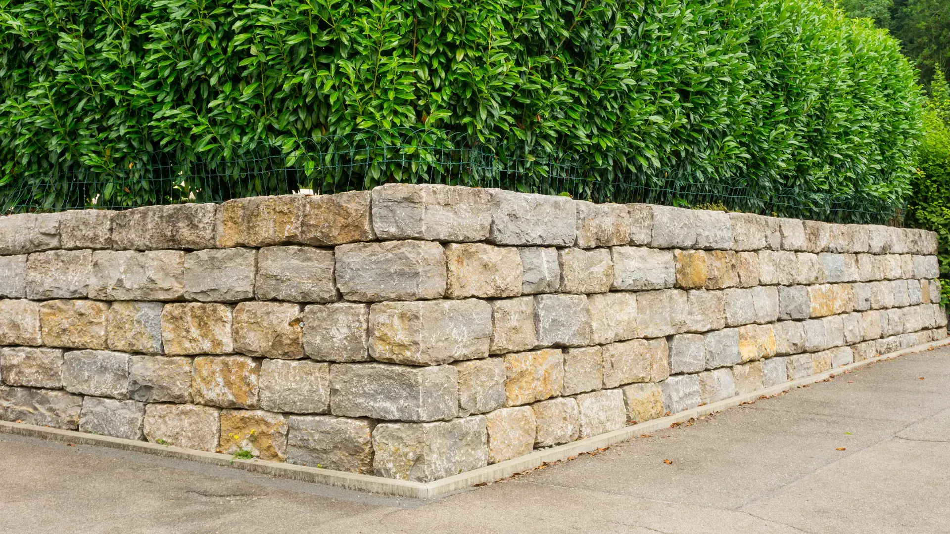 Geschwungene Natursteinmauer entlang einer gepflasterten Einfahrt.