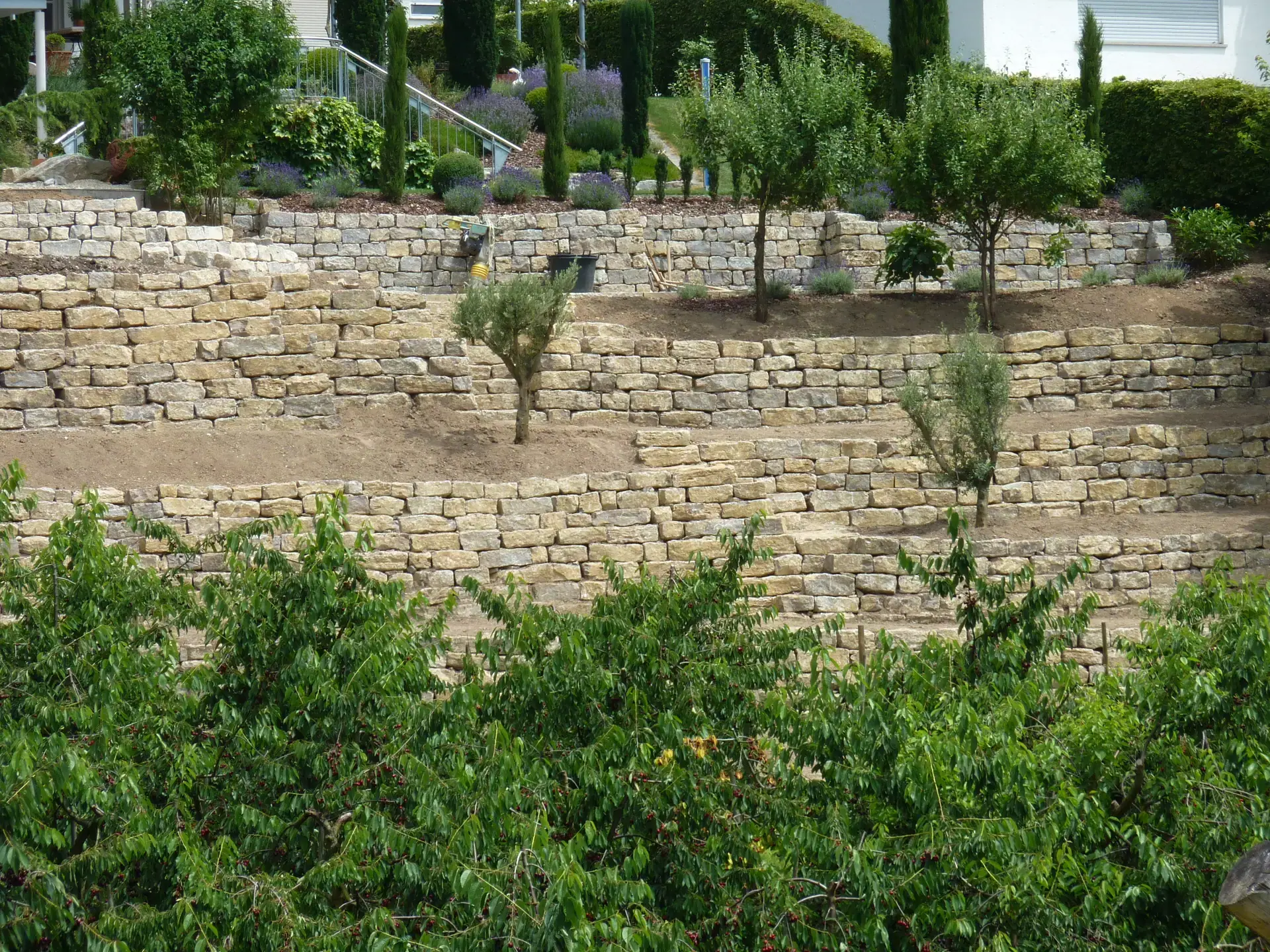 Gestufte Natursteinmauer mit Stauden und Gehölzen.