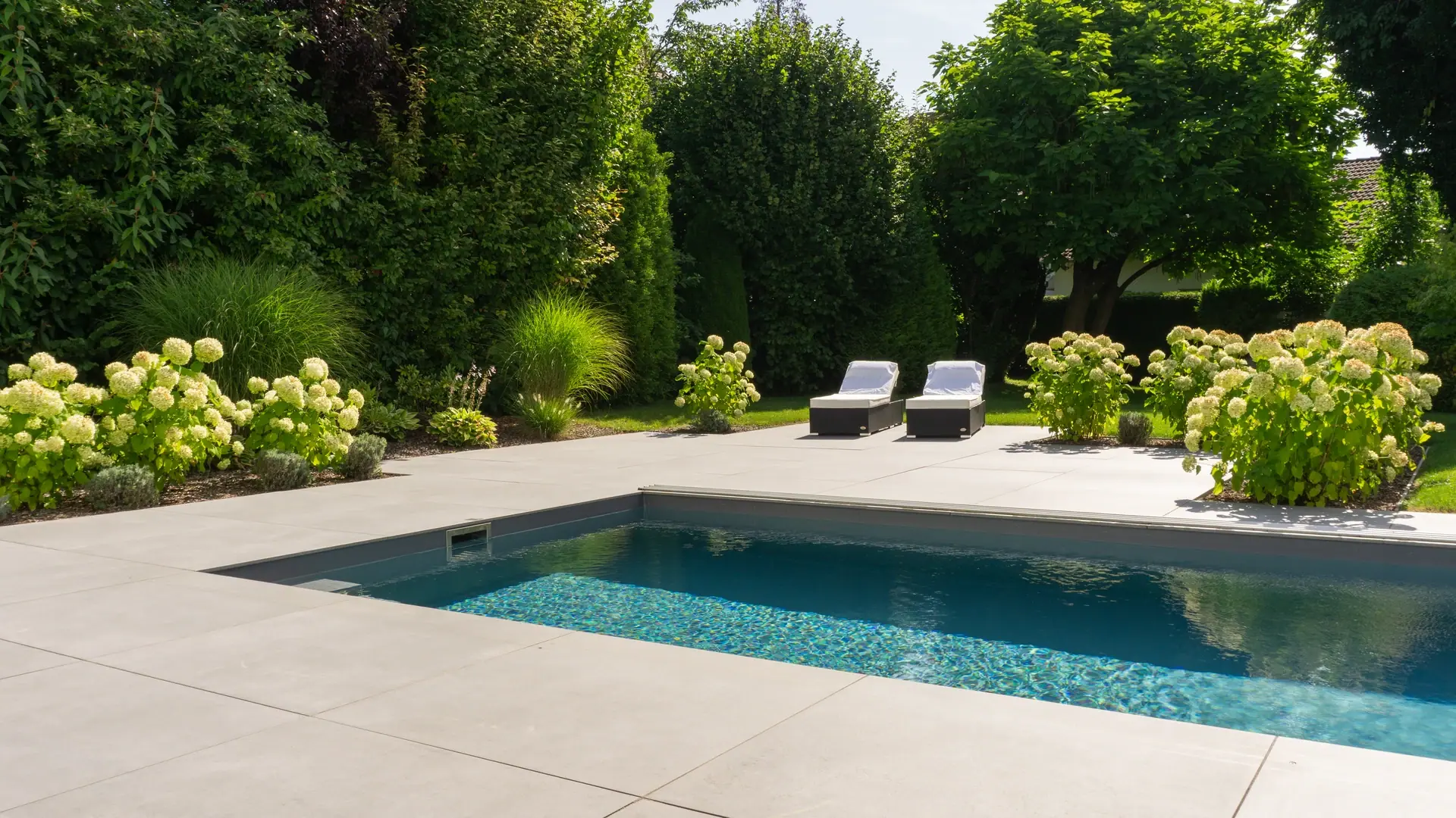 Pool mit Gartenliegen und weißen Hortensien.
