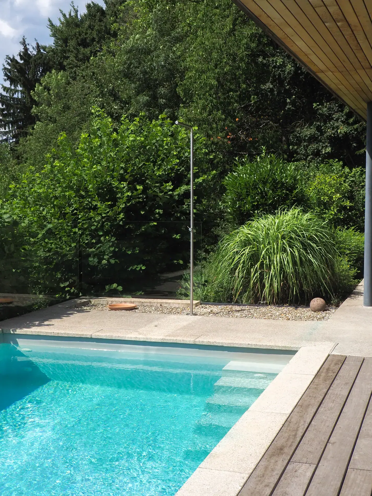 Poolrand mit Holzdeck und hoher Bepflanzung.