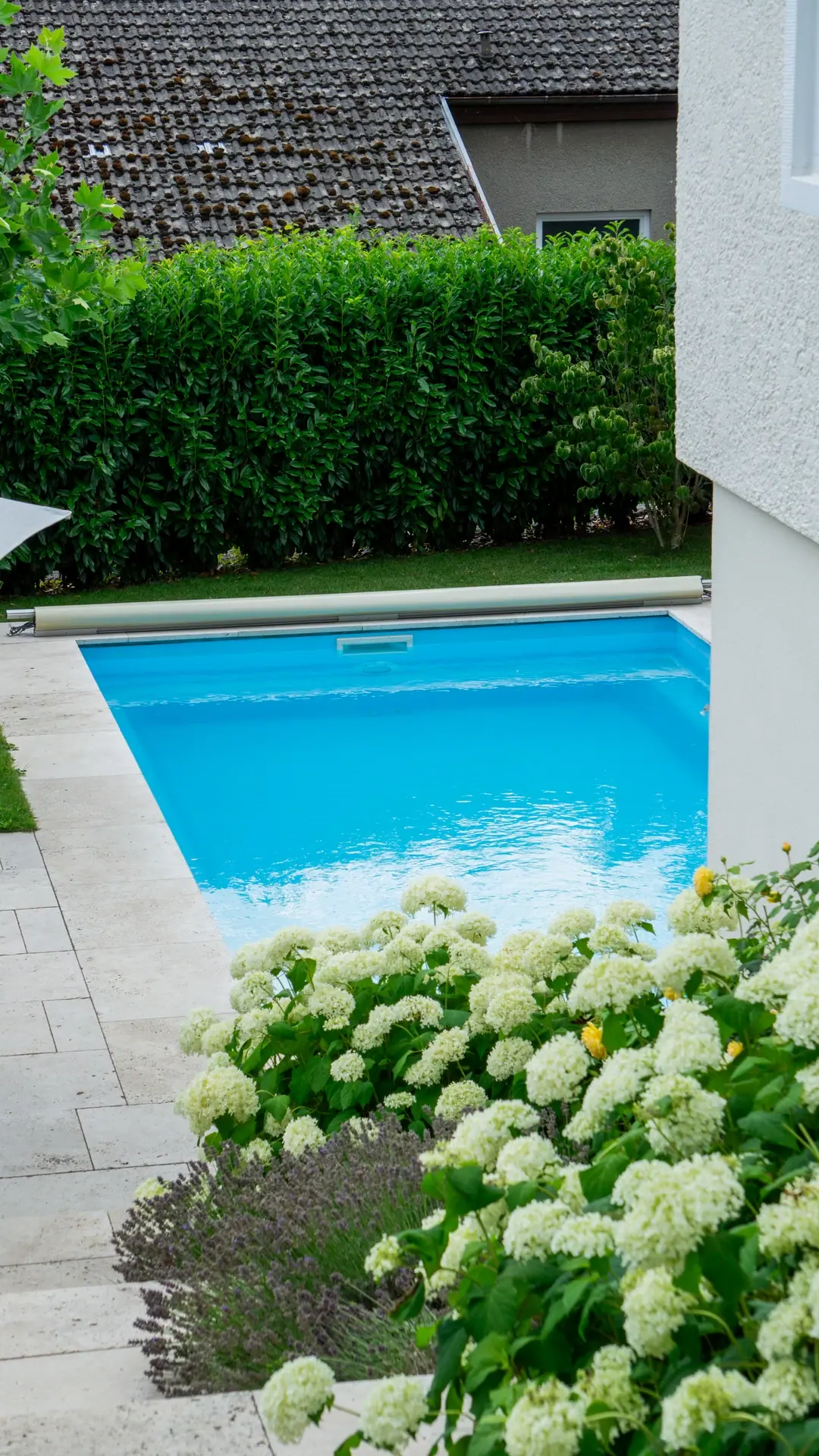 Pool mit weißen Hortensien vor einer Hauswand.