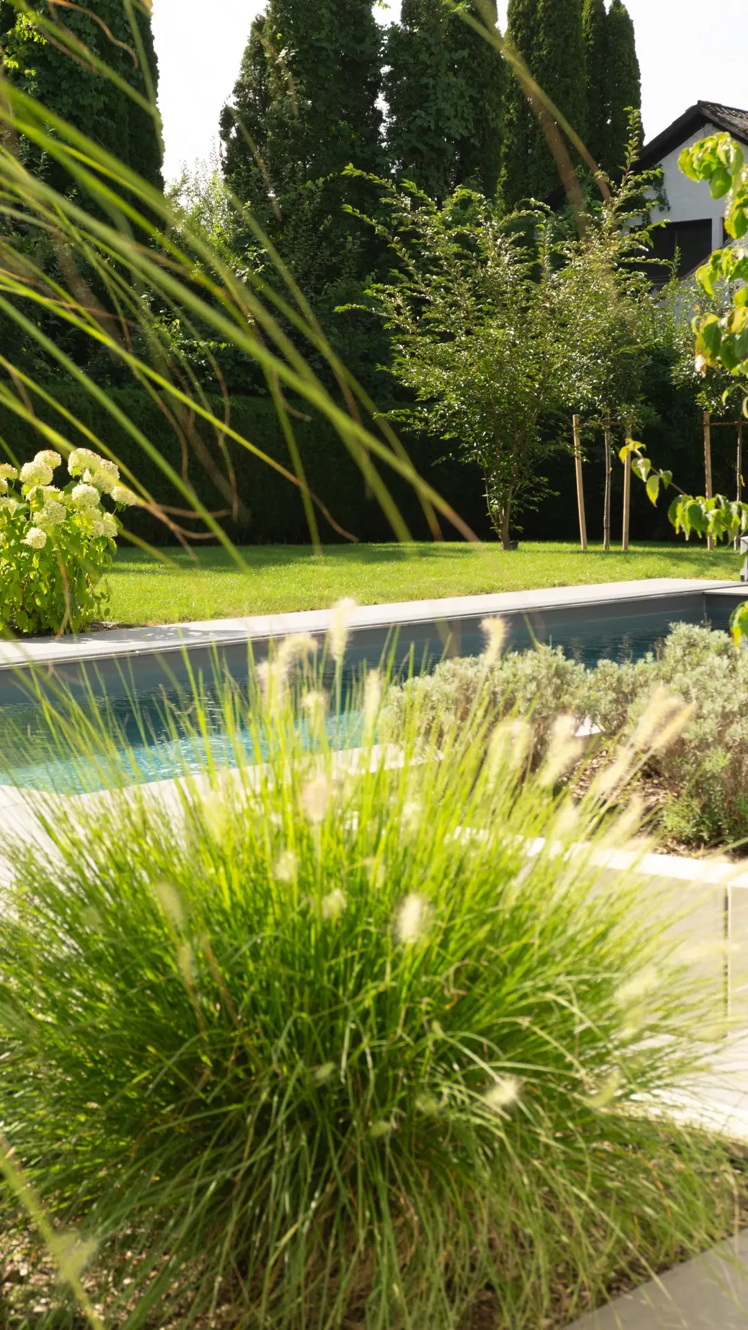 Pool hinter Ziergräsern und üppiger Bepflanzung.